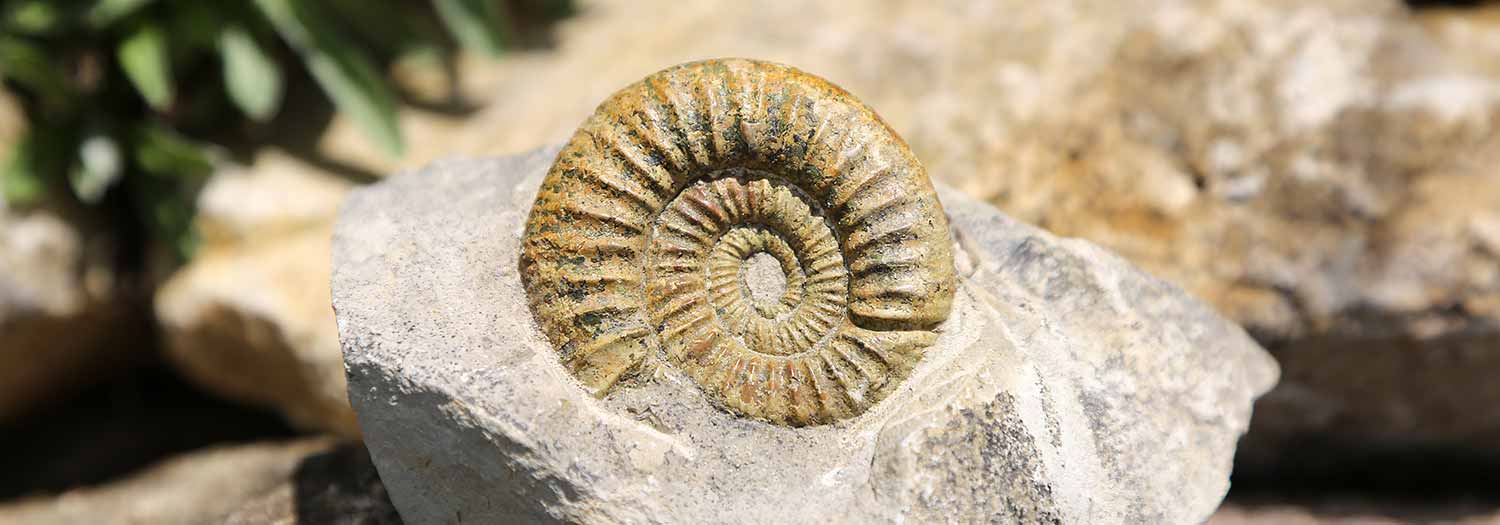 DoloMythos in Innichen in der Urlaubsregion Pustertal