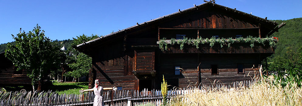 Volkskundemuseum Dietenheim