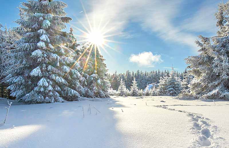 Urlaubsorte im Pustertal