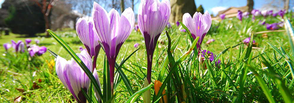 Naturlehrpfad Lienz - Tristacher See