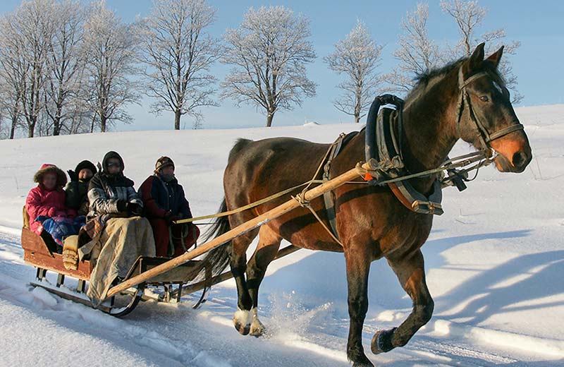 Pferdeschlittenfahrten