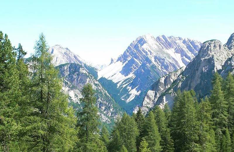 Wanderung Grünwaldalm