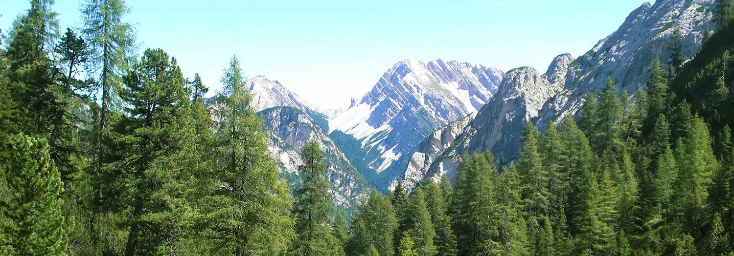 Wanderung zur Grünwaldalm