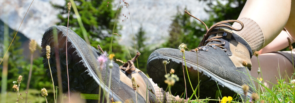 Wanderung zur Pojenalm im Ahrntal
