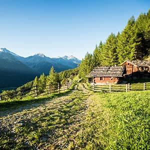 Vielfalt zwischen Natur und Kultur