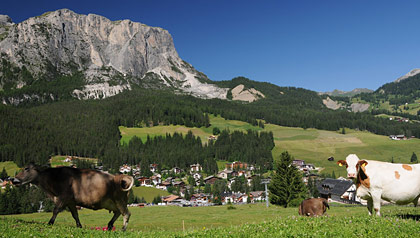 Pedratsches Alta Badia