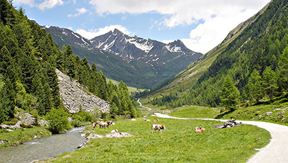 Blick Rieserferner Ahrn