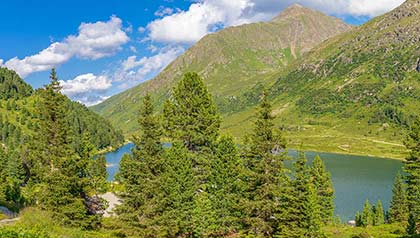 Sommer Staller Sattel