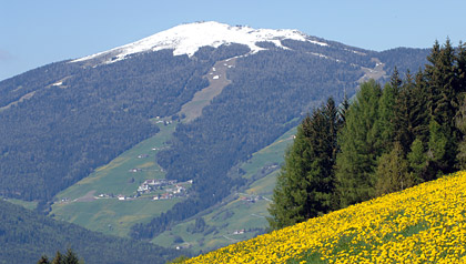 Geiselsberg